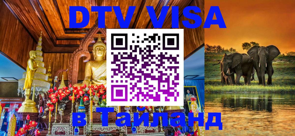 Оформление DTV визы под ключ: стоимость и тарифы, только загранпаспорт - Благовещенск  04.10.2025 